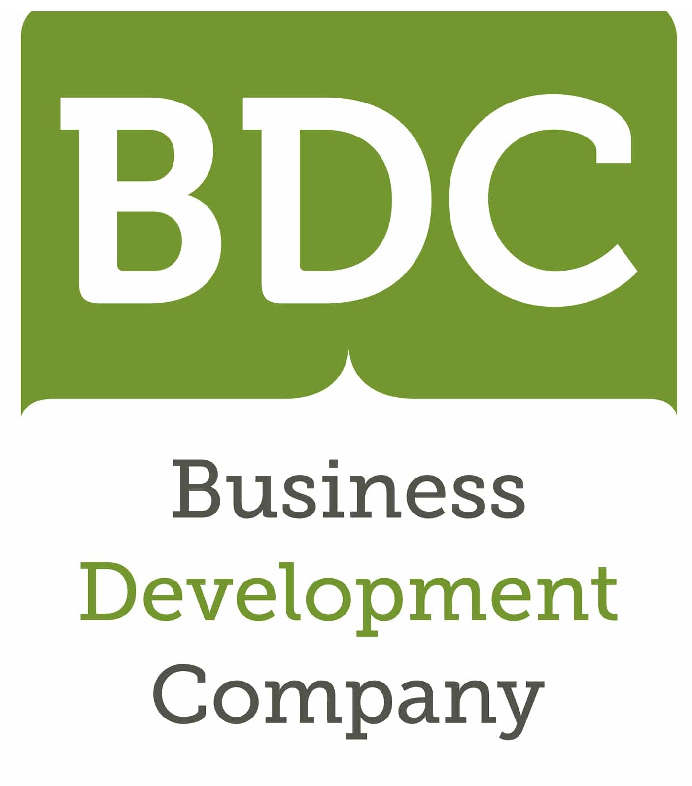 What Are BDCs or Business Development Companies? - 1