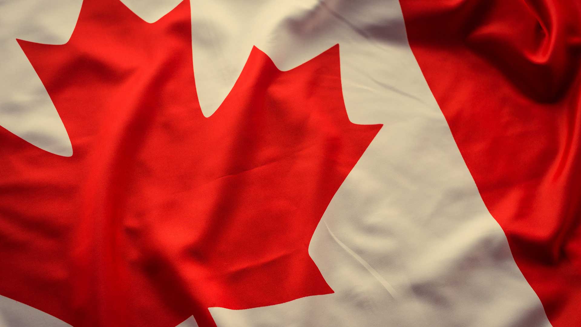 How To File Your Taxes As An Expat in Canada! - 1